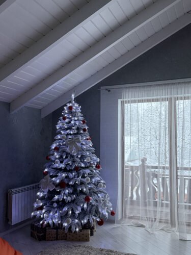 Альпійська засніжена photo review